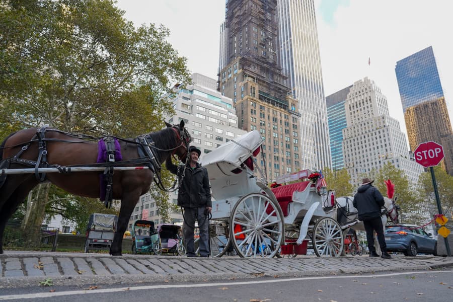 Nueva York aprueba la ley que prohibirá los carruajes tirados por caballos en junio 2028
