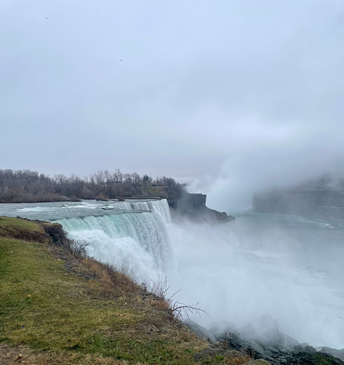 Niagara