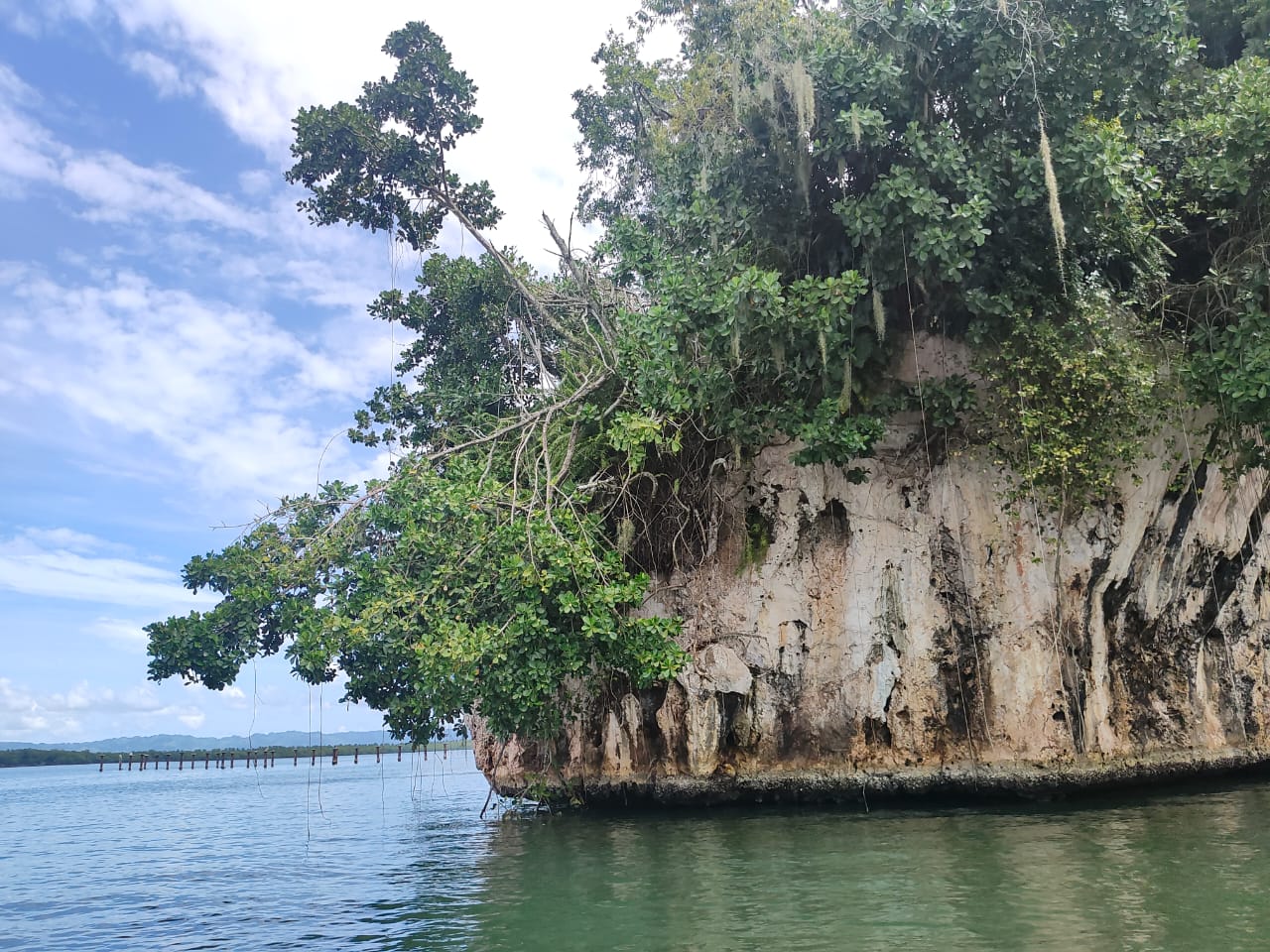 Un viaje inolvidable por el Parque Nacional Los Haitises